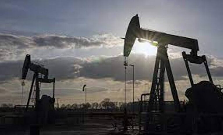 India can afford oil import diversification